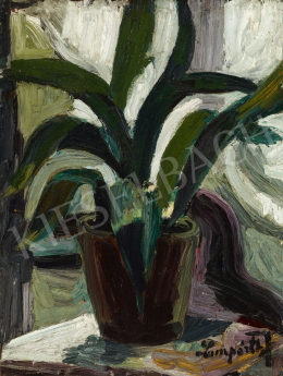  Nemes Lampérth, József - Still Life (Cactus), 1910 