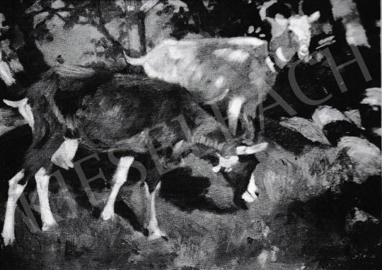  Kieselbach, Géza - Goats, 1913-1918 painting