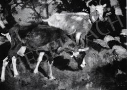  Kieselbach, Géza - Goats, 1913-1918 