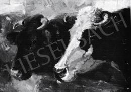  Kieselbach, Géza - Dutch Cows, 1945-50 