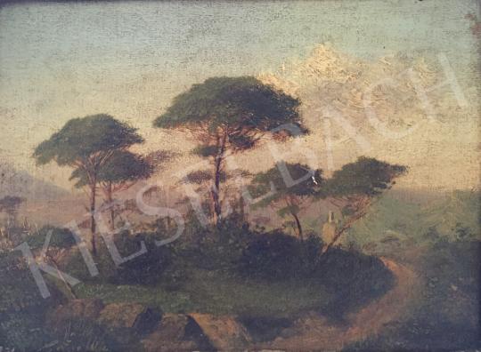 For sale Unknown painter - Landscape 's painting