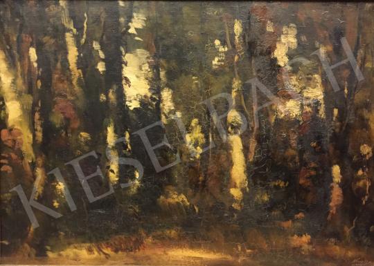 Kun, István - Forest, 1963 painting