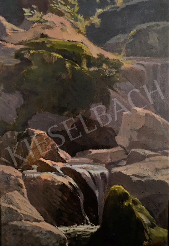  Stein János Gábor - Erdei patakpart sziklákkal festménye