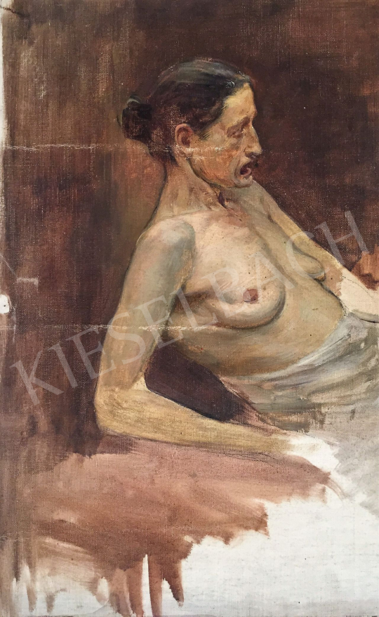  Stein János Gábor - Idős női akt festménye