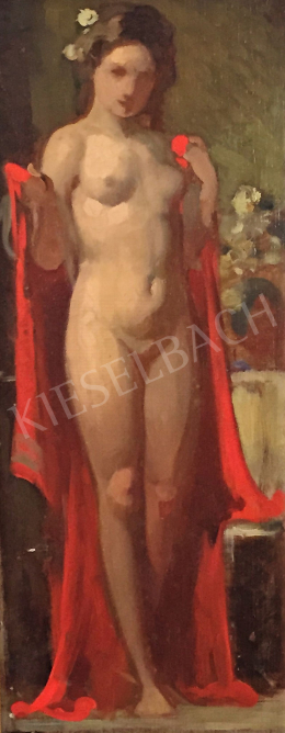  Stein, János Gábor - Female Nude with Red Drapery 