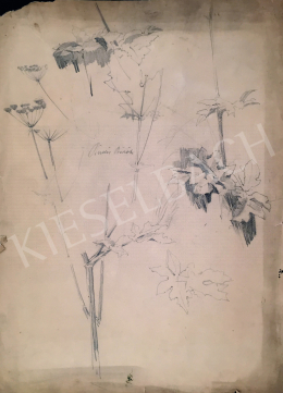  Stein, János Gábor - Sketch  