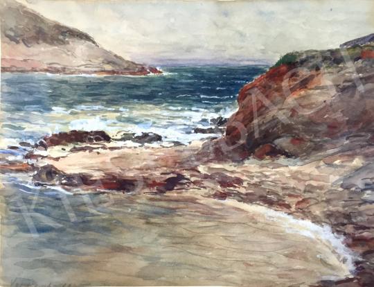 For sale Unknown painter - Coastal Scenery 's painting