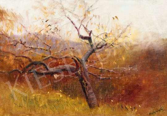  Mednyánszky, László - View from the Hill (Autumn Landscape) | 56th Autumn Auction auction / 39 Lot
