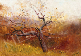  Mednyánszky, László - View from the Hill (Autumn Landscape) 