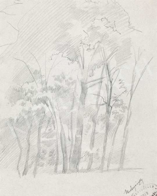  Mednyánszky, László - 19 drawings - Forest | 56th Autumn Auction auction / 192 Lot