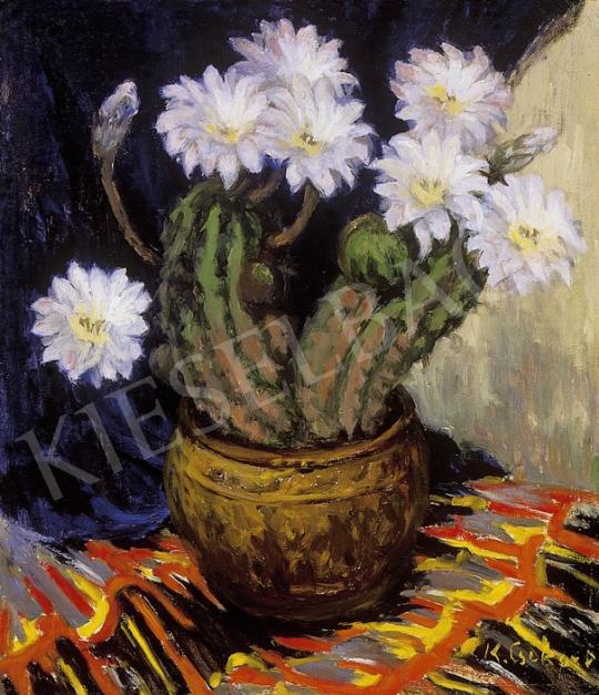 Krizsánné Csikós, Antónia - Blooming cactus | 7th Auction auction / 225 Lot