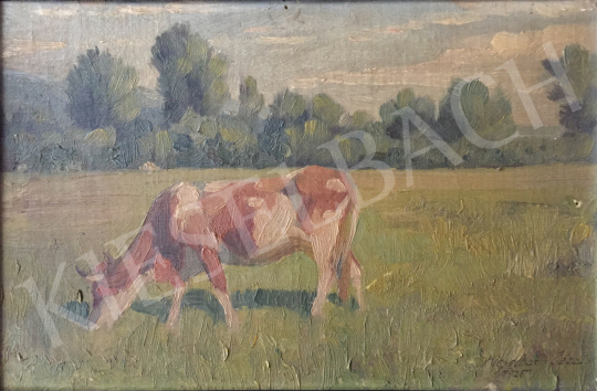 For sale  Kieselbach, Géza - Summel Field with Cows, 1925 's painting