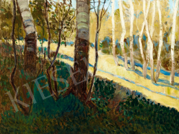  Unknown Hungarian painter, about 1910 - Birch Trees 