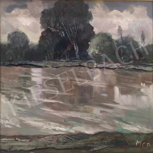 For sale  Molnár C., Pál - Riverside Landscape 's painting