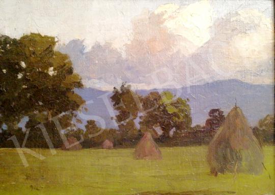 For sale Papp, Aurél - Green Meadow with Haybees 's painting