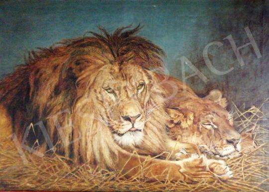 Kovács, Kálmán - Relaxing Lions painting