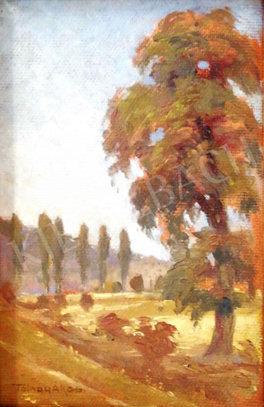 For sale Tolnay, Ákos - Landscape with Poplars 's painting