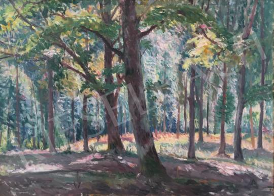  Boldizsár, István - Forest Detail painting