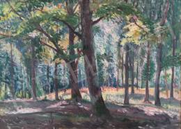  Boldizsár, István - Forest Detail 