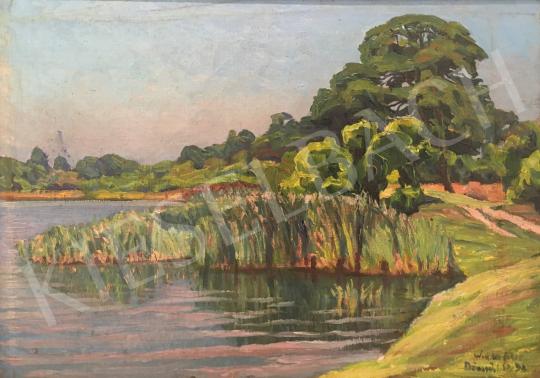 For sale Widder, Félix - Danube, 1932 's painting