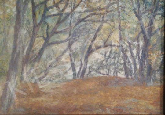  Duray Tibor - Őszi erdő festménye