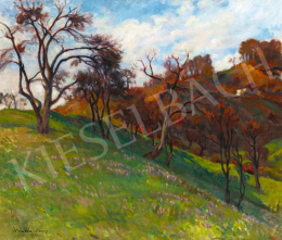 Krizsán, János - Autumn in Nagybánya (Pulsatilla Field) 