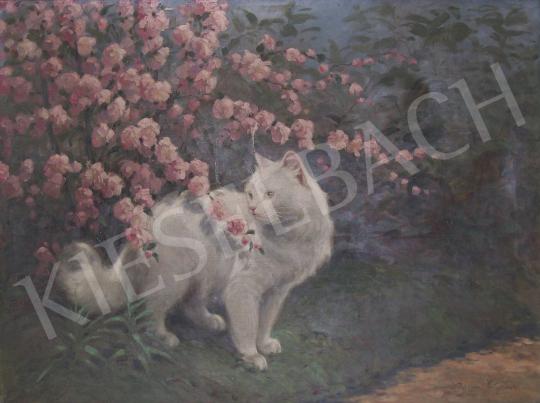 Rainerné-Istvánffy, Gabriella - Cat with a Blossom Bush painting