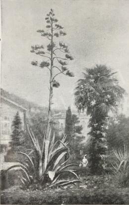  Czölder Dezső - Abbazia (részlet) 