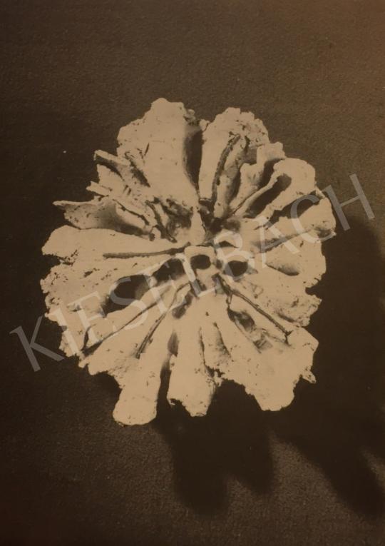  M. Kiss Katalin - Virág alakú kerámiája festménye