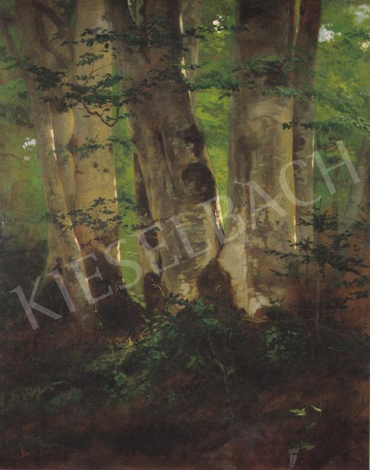  Benczúr, Gyula - Forest Landscape, c.1874 painting