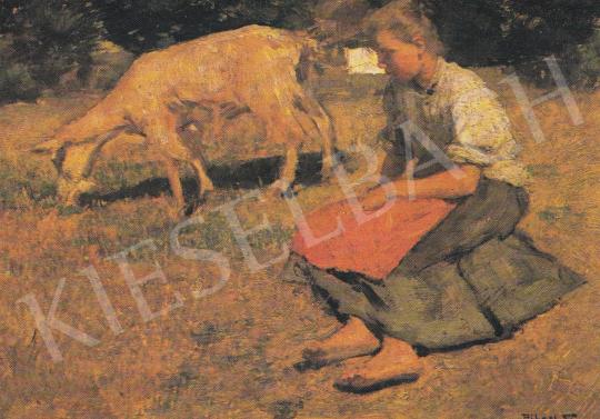 Bihari Sándor - Kecskepásztorlány, 1901 festménye