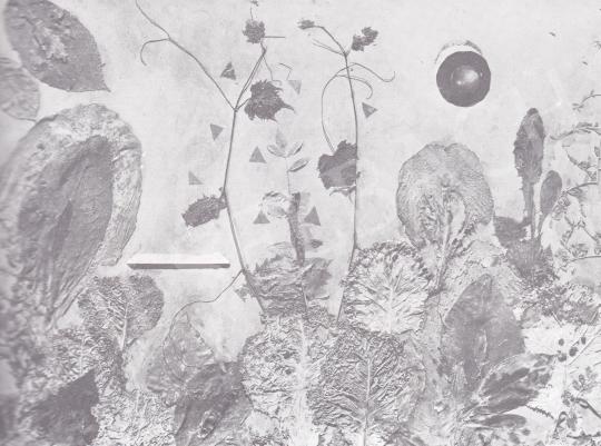  Ruzicskay, György - Baudelaire: Deterioration in Flowers painting