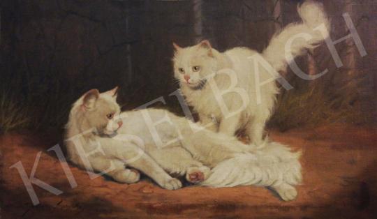 For sale Rainerné-Istvánffy, Gabriella - Angora Kittens 's painting