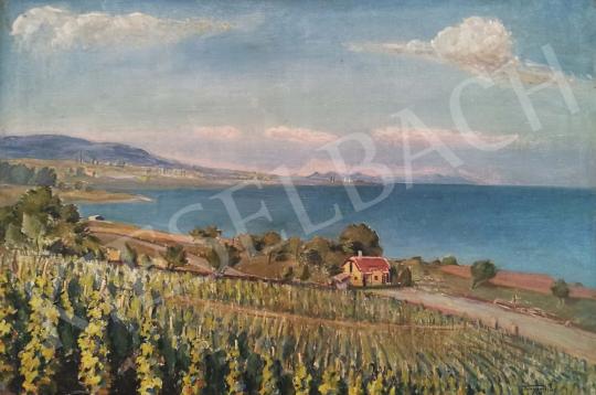  Tunyogi Szűcs, Sándor - Landscape with the Lake Balaton painting