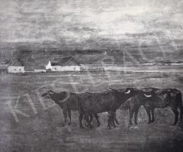  Kurucz D. István - Bivalyos tanya, 1959 