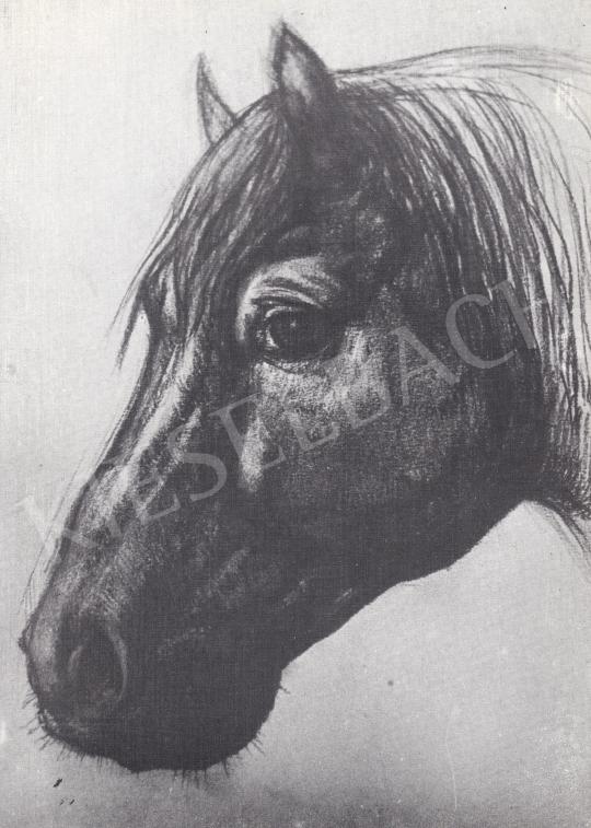 ifj. Lelkes, István - Horse Head painting