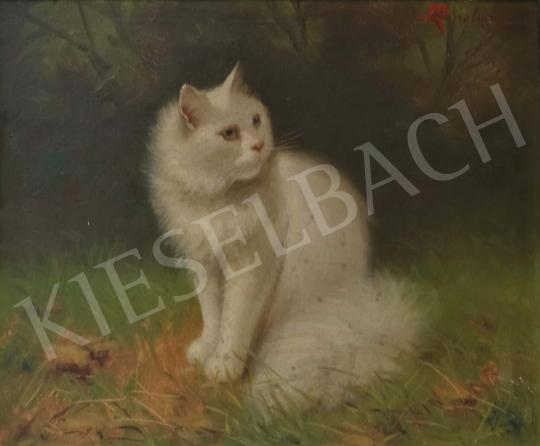 Boleradszky Benő - Perzsa cica festménye