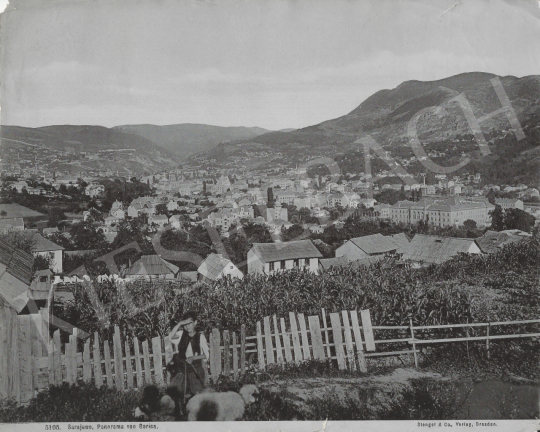 Eladó Ismeretlen fotós - Szarajevo (Panama von Gorica), 1885 körül festménye