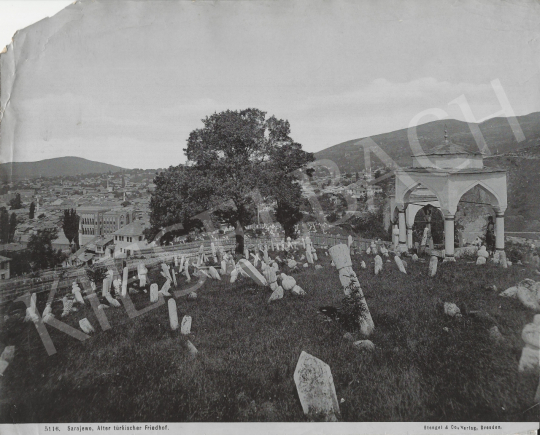 Eladó Ismeretlen fotós - Szarajevo (A régi török temető), 1885 körül festménye