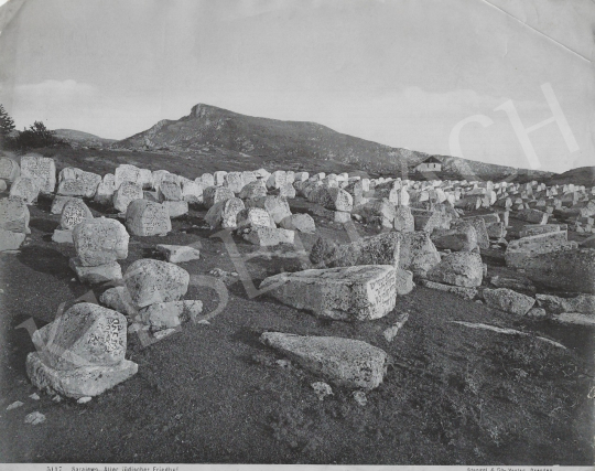 Eladó Ismeretlen fotós - Szarajevo (A régi zsidó temető), 1885 körül festménye