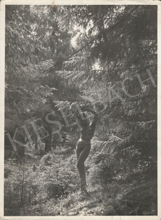 For sale  Szőllősy, Kálmán - Nude in the Woods, c. 1935 's painting