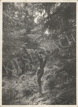  Szőllősy, Kálmán - Nude in the Woods, c. 1935 