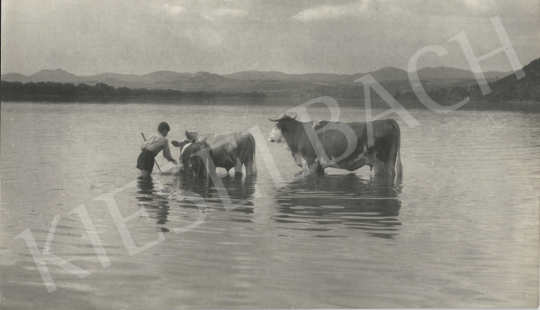 For sale  Szőllősy, Kálmán - Bathing, cca. 1938 's painting