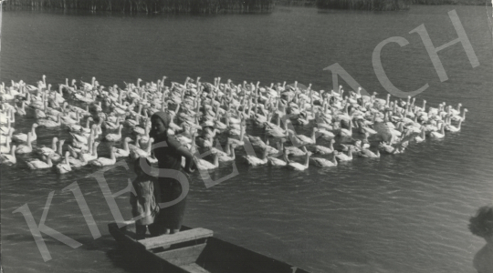 Eladó  Szőllősy Kálmán - Kacsaúsztató, 1960 körül festménye