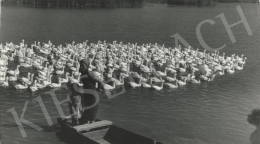  Szőllősy, Kálmán - Duck-Pond, c. 1960 