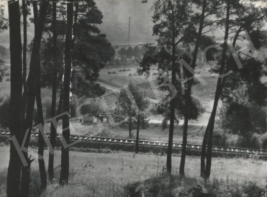 For sale  Szőllősy, Kálmán - Landscape at Bükk, 1954 's painting