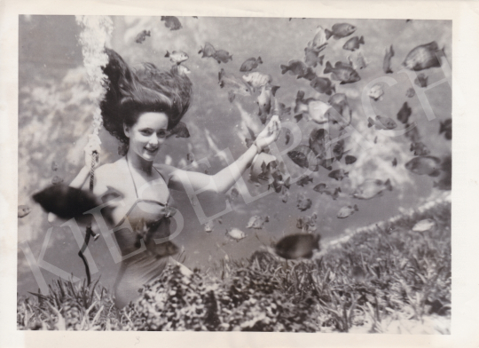 For sale  International News Photos - One mermaid and her animals (Frances Dwight feed fish), 1951 's painting