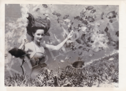  International News Photos - One mermaid and her animals (Frances Dwight feed fish), 1951 