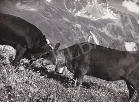 Eladó  International News Photos - A harc II., 1948 festménye