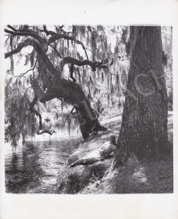  International News Photos - Daydreaming (Spring), c. 1950 